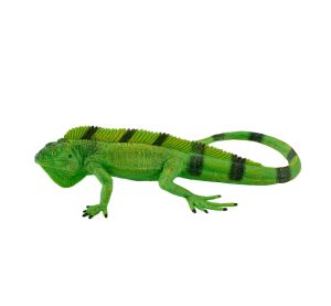 Mojo Iguana