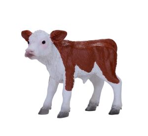 Mojo Hereford calf