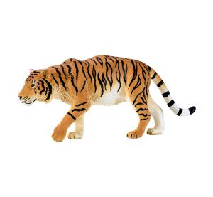 Mojo Tiger on the hunt