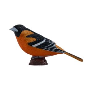 Mojo Northern Oriole