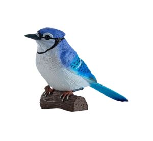 Mojo Blue Jay