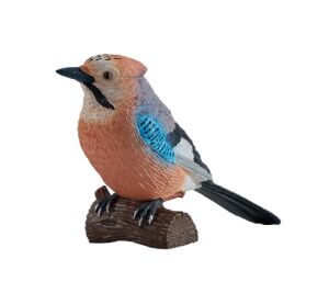 Mojo European Jay