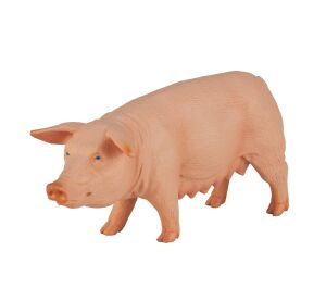 Mojo Sow