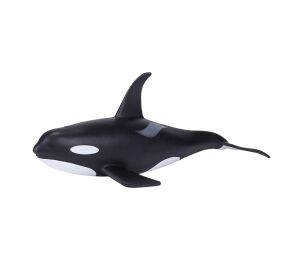 Mojo killer whale