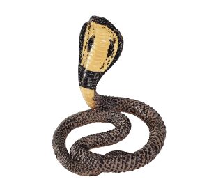 Mojo Royal Cobra