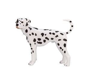 Mojo Dalmatian