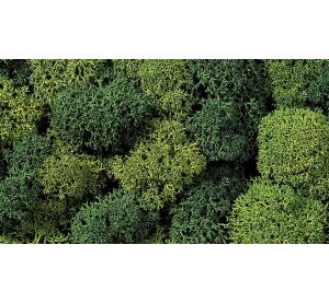 Noch Decorative moss light and dark green