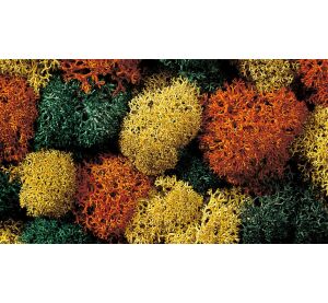 Noch Autumn decorative moss