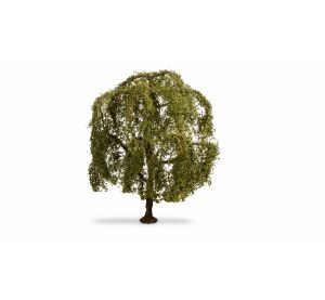 Noch Mourning Willow