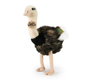 Rappa Plush Ostrich 33 cm ECO-FRIENDLY PLUSH WORLD