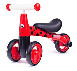 Diditrike bouncer ladybug