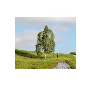 Noch Silver Birch