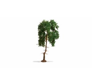 Noch Pines