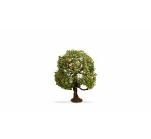 Noch Apple tree