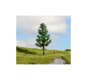 Noch Spruce tall trunk