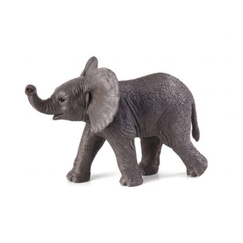 Mojo Elephant African elephant playing