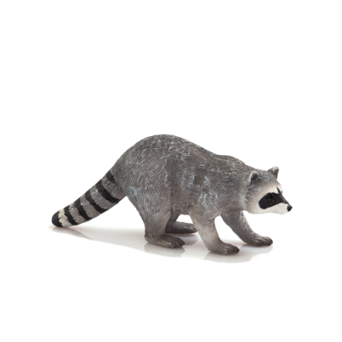 Mojo Raccoon