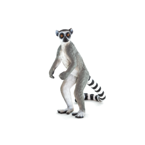 Mojo Lemur kata