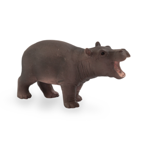 Mojo Hippo cub