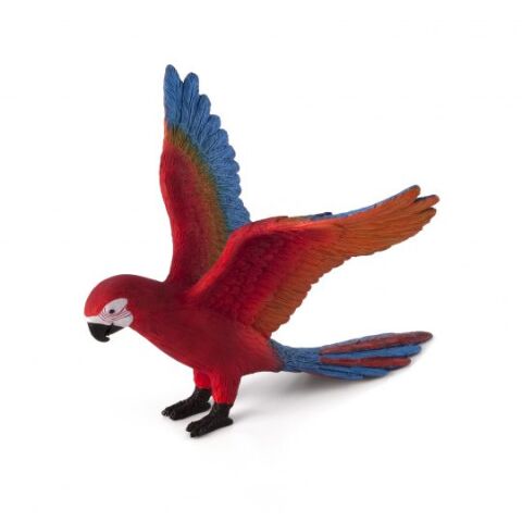 Mojo Parrot Ara