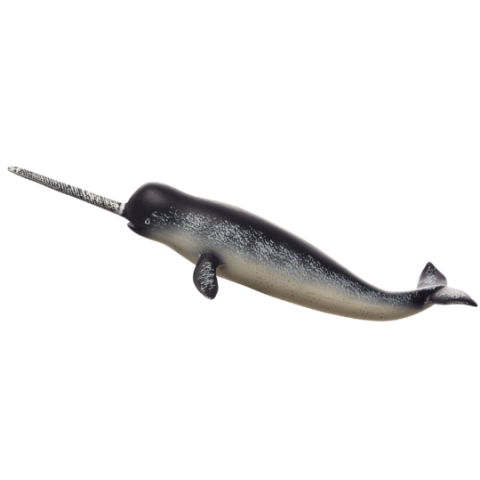Mojo Narwhal