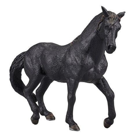 Mojo Andalusian horse black
