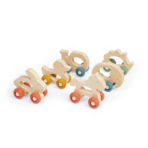 Bigjigs Toys Pet on wheels 1 piece