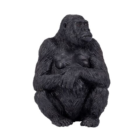 Mojo Gorilla female