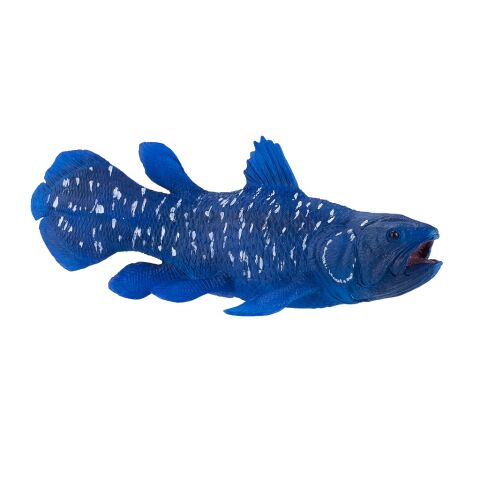 Mojo Latimeria strange