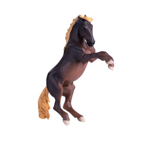 Mojo Stallion Brumby