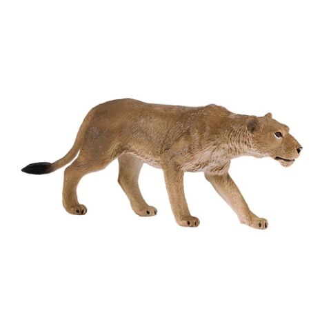 Mojo Lioness standing