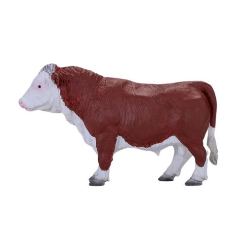 Mojo Hereford bull
