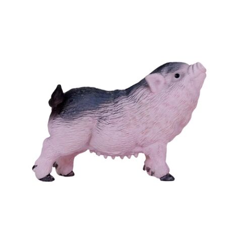 Mojo Vietnamese pig piglet