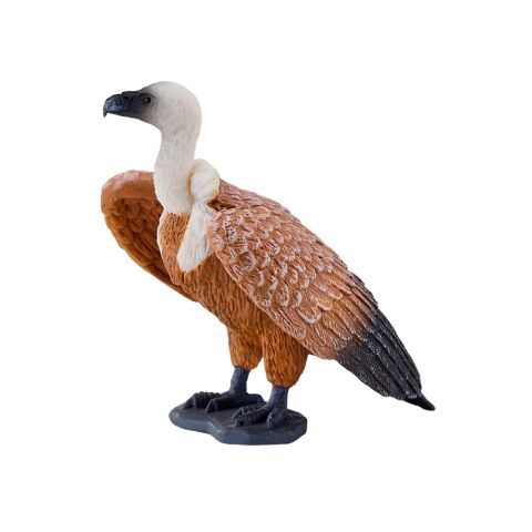 Mojo Brown Griffon Vulture