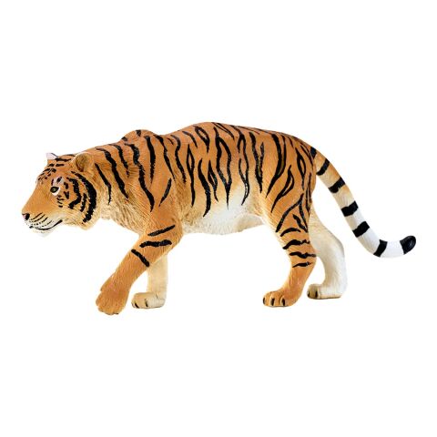 Mojo Tiger on the hunt