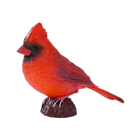 Mojo Cardinal Red