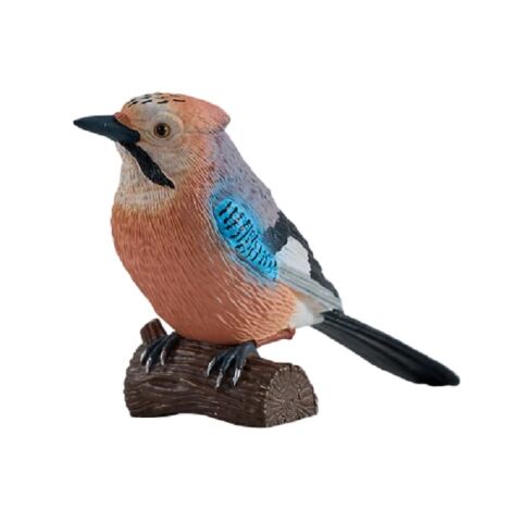 Mojo European Jay