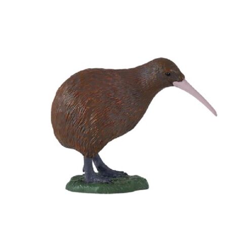 Mojo New Zealand Kiwi