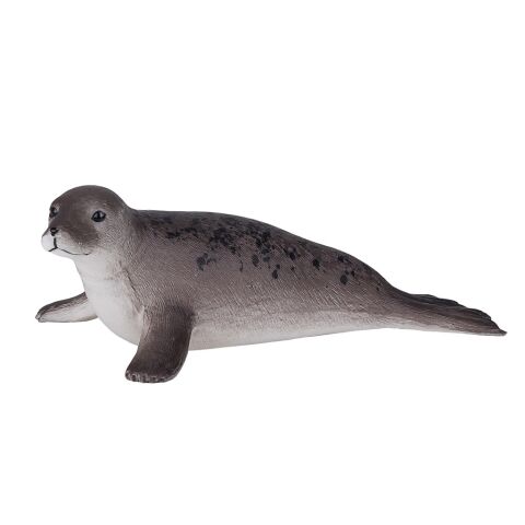 Mojo Cone-toothed Seal