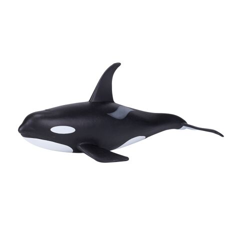 Mojo killer whale