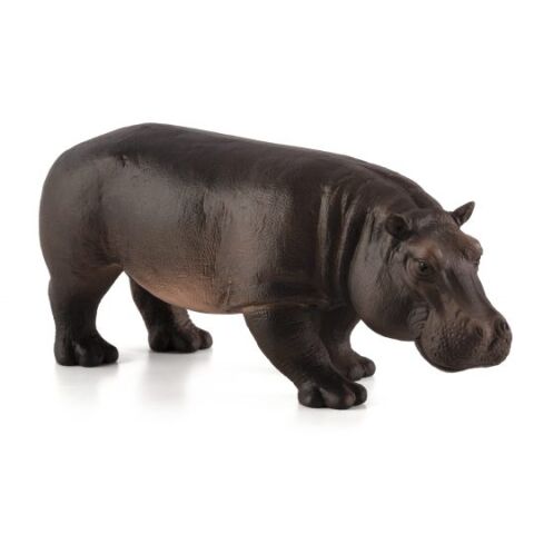 Mojo Hippo female