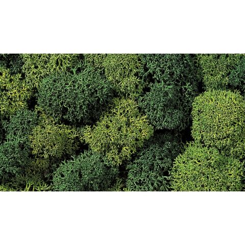 Noch Decorative moss light and dark green
