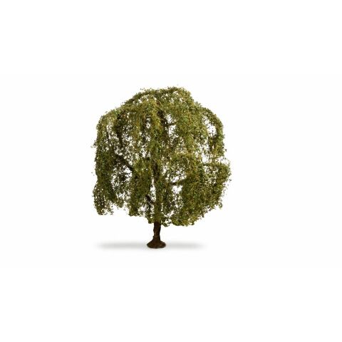 Noch Mourning Willow