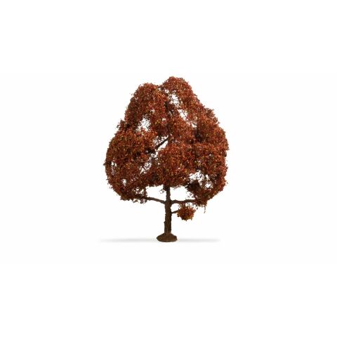 Noch Copper Beech 15 cm