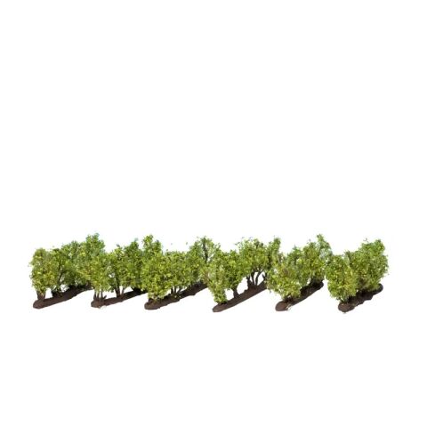 Noch Vineyard 6 pcs