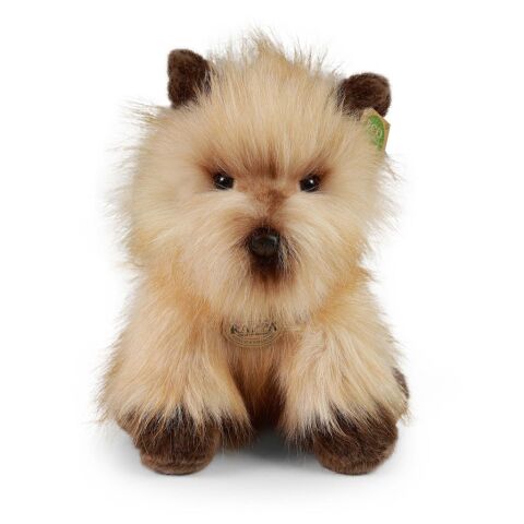 Rappa Plush dog cairnterrier 30 cm ECO-FRIENDLY