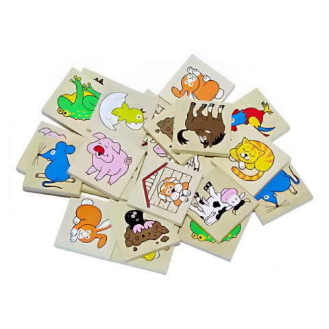 Detoa Pexeso animals