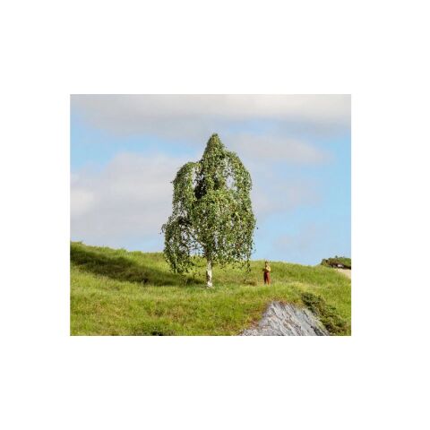 Noch Silver Birch