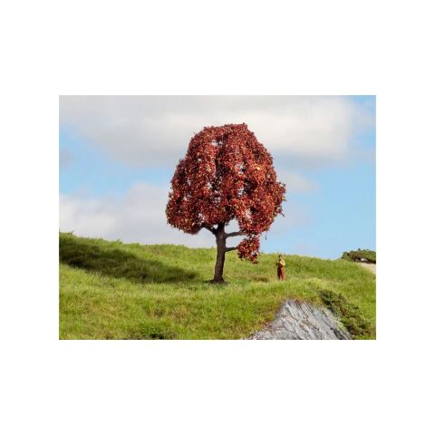 Noch Copper beech