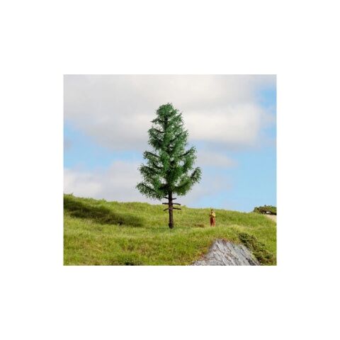 Noch Spruce tall trunk